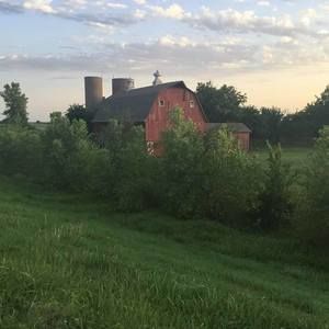 Meet your Posher, Judy